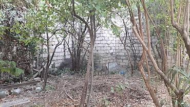 avto karavan: 3 sot, Tikinti, Bələdiyyə — 3