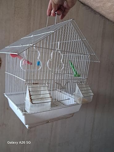 ucuz quşlar: Quş qəfəsi – metal karkaslı, dam formalı dizayn - Material: ağ rəngli — 1
