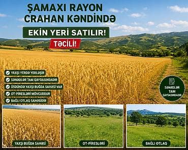 Ekin ücün el verişlidi rayonla arasi 5 deyqedi lalafo.az -da Ekin ücün el verişlidi rayonla arasi 5 deyqedi