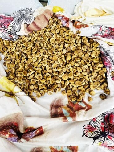 murebbe: Qurudulmuş əncir - Təbii yolla qurudulmuş, bütöv və ləzzətli əncirlər — 1