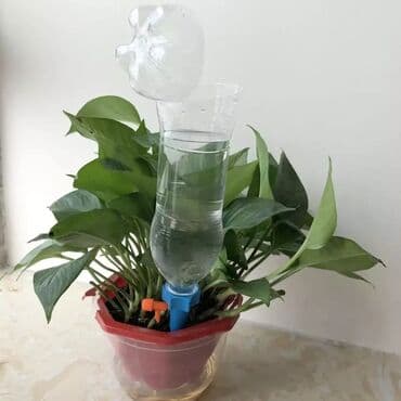 su vuran aparat: Qiyməti 10 ədədinə aitdir .Otağ dibçək və ya ev bitkilərin ( insanın — 6