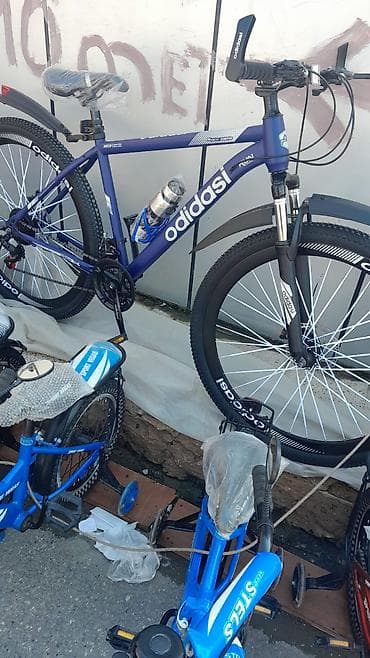 aurus velosiped: Salam — 2