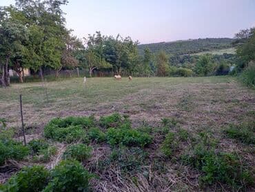lokbatanda torpaq satilir 2022: 16 sot, Maklerlər narahat etməsin, Kupça (Çıxarış) — 5