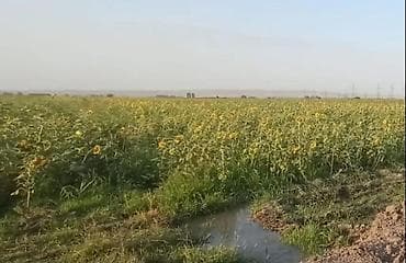 quba torpaq: 220 sot, Kənd təsərrüfatı, Maklerlər narahat etməsin, Kupça (Çıxarış) — 2