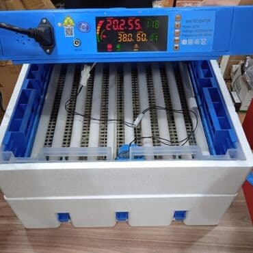 İnkubatorlar: Inkubator inkubatorlarin birinci əl satişi unversal inkubator — 1