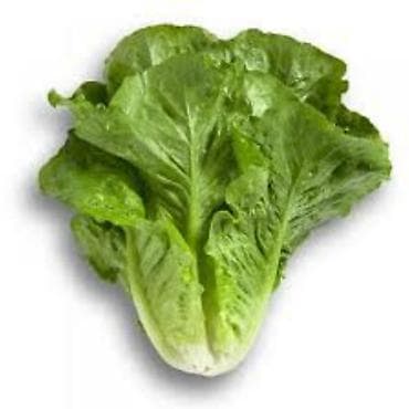 2 otaq: Rukolla var . Yalnız whatsappda yazın — 7