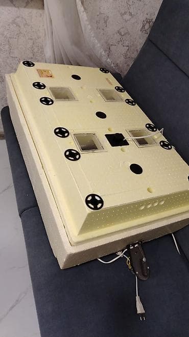 Moyka avadanlığı: Elektrik inkubatoru – yerli təsərrüfatlar üçün yumurta çıxaran aparat — 2