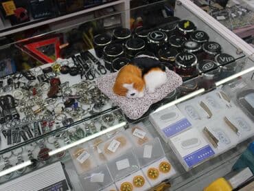 danqrat azərbaycan dilində: Dekorativ i rengli 15 azn — 1