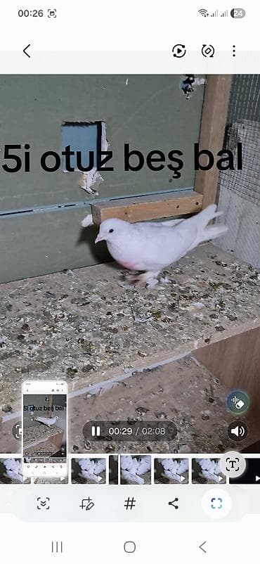 5 dənə tutulma 25 manat ünvan Bakı naxçıvanski