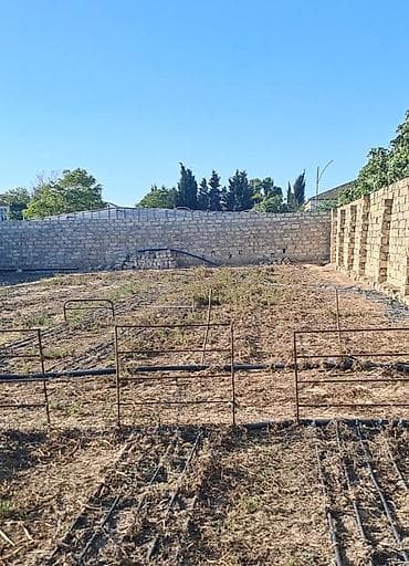 razinde bina evleri: Kənd təsərrüfatı — 4