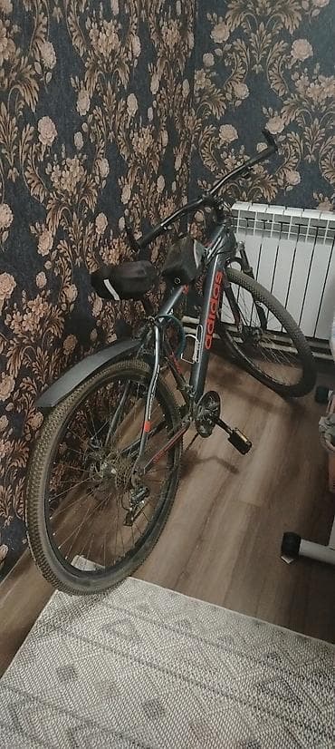 velosiped zapcast: MTB tipli velosiped (20-25manat xərci var) - Marka/model: Kadro — 1