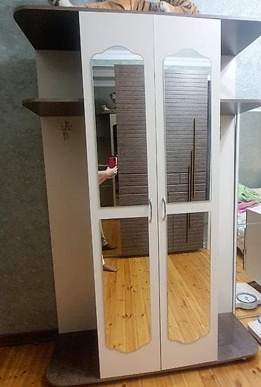 su ceni 2 ton: İşlənmiş, 2 qapılı, Güzgülü, Qəhvəyi, Açılan, Düz dolab — 1