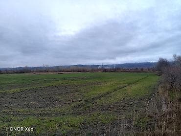 Гаражи: 200 соток, Для сельского хозяйства, Техпаспорт — 5