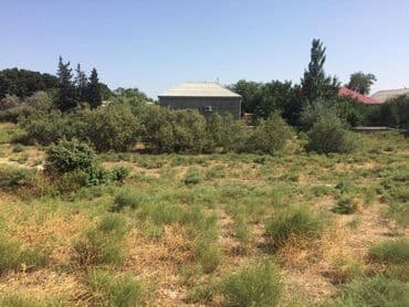 binə qəsəbəsi: 45 sot, Tikinti, Makler, Kupça (Çıxarış) — 1