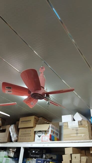 asma ventilyator: Вентилятор Новый, Потолочный, Лопастной, Нет кредита, Платная доставка, Самовывоз, Доставка в районы — 1