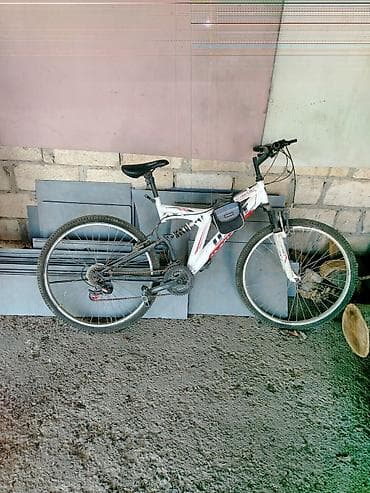 velosiped satisi 29: Həm dağ həmdə Şəhər içi velodur — 1