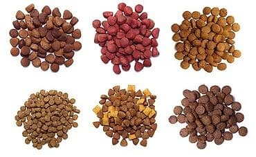 Balta və nacaqlar: Quru yem istehsalı üçün avadanlıq İt Pişik Balıq İt, pişik və — 3