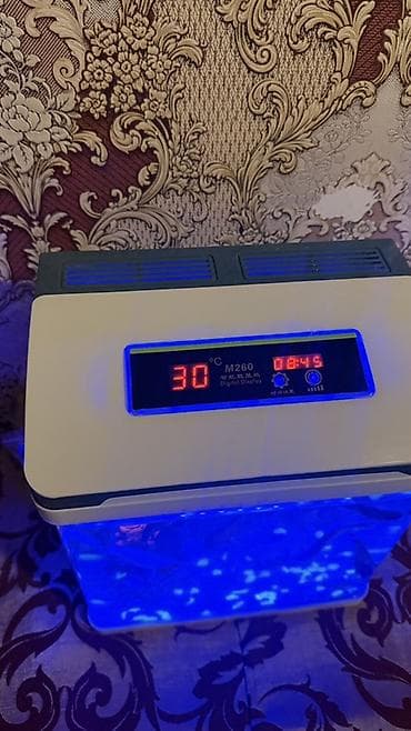 qızıl balıqlar: Akvaryum dəsti – kompak tək parça şüşə akvarium və aksesuarlarla — 4