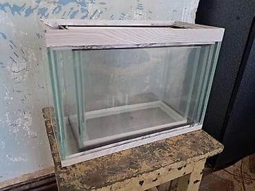 Salam ümümi 4 ədəd akvarıum satılır hamısı bir yerdə 30 azn,tək