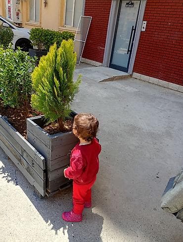 20 aylıq qızım 8 aylıq oğlum var mene çöle gezmeye uşaqları parka at lalafo.az 20 aylıq qızım 8 aylıq oğlum var mene çöle gezmeye uşaqları parka