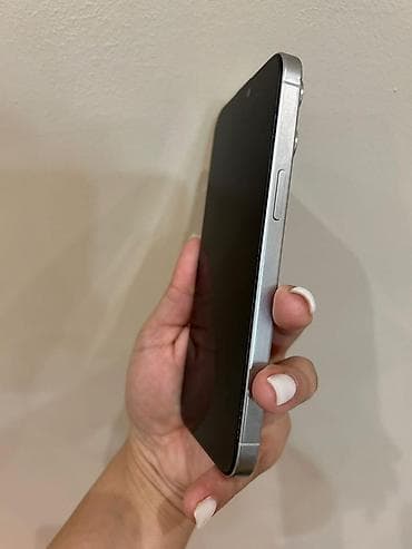 iphone 13 case: IPhone 15 Pro Max, 256 GB, Gümüşü, Face ID — 5