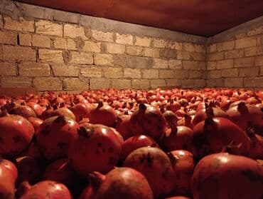 Talıb narı 7 ton olar imişli rayonunda qiymət razılaşma yolu ilə əlaqə