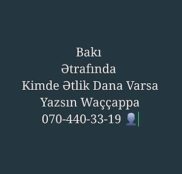 Bakı və ətraf ərazilərdə ətlik dana axtarışı. Satış üçün ətlik dana