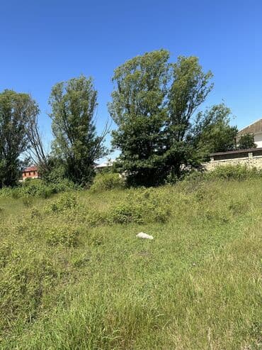 недвижимость в баку из рук в руки: 24 sot, Biznes üçün, Mülkiyyətçi, Kupça (Çıxarış) — 7