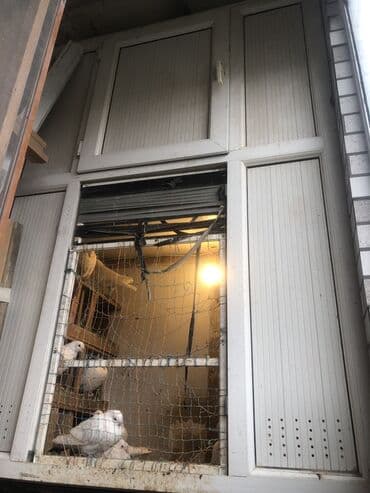 pişik üçün yuva: Plastik şkaf üçündü hündürly 186 / eni 132 di ortasının qapısıda var — 2