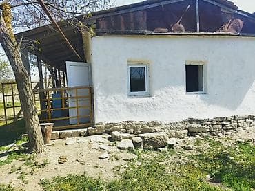 Satılır: kənd təsərrüfatı təyinatlı obyekt və geniş həyət sahəsi -