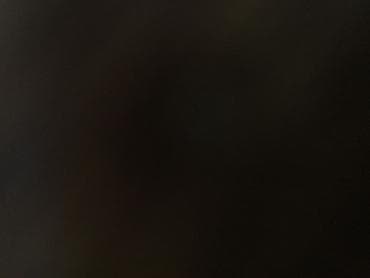 приюты для животных в баку: Salam tezelikce pudel adiyla başqa it gönderildi mene indide elaqe — 1