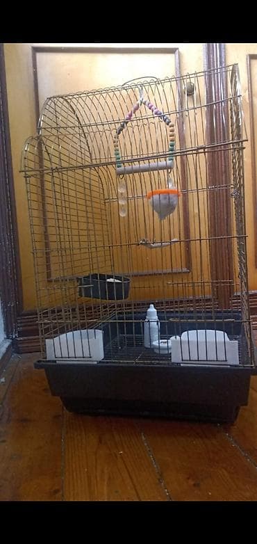 qəfəs: 📍Təcili📍Öncelikle her kese salam lazım olmadiği uçun maya deyerinden — 3