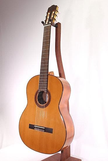 Akustik gitaralar: Cordoba. Model: c5 — 2