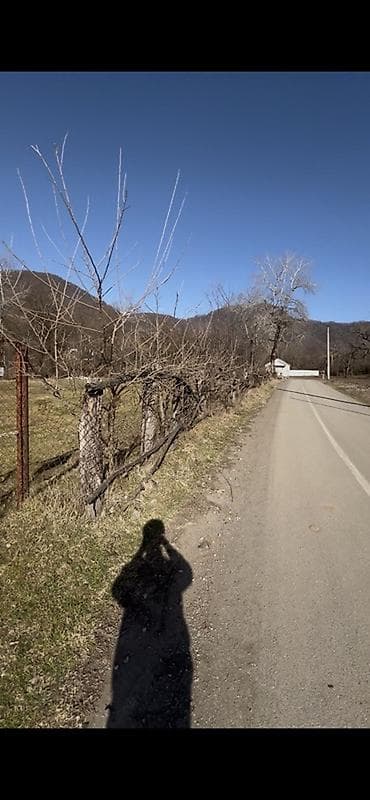 bakixanov qesebesi: 50 sot, Biznes üçün, Mülkiyyətçi — 1