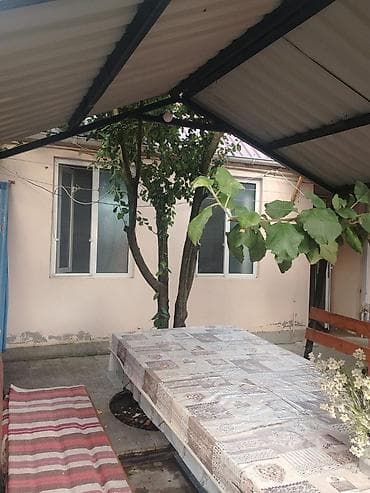 kiraye obyekt verirem: Kirayə verilir: 2 otaqlı kiçik həyət evi - Daxili plan — 8