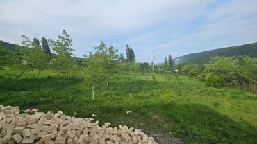 mehtabatda torpaq satilir: 40 sot, Tikinti, Mülkiyyətçi, Kupça (Çıxarış) — 10