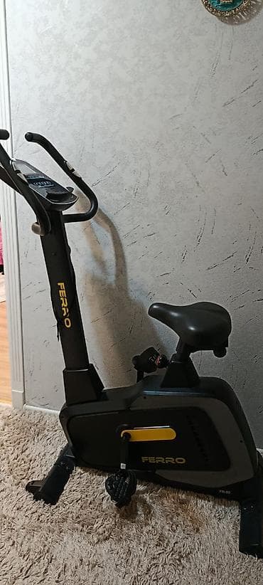 bilyard şarları: Ferro stasionar velotrenajor - Brend/model: Ferro (FR-80 yazısı — 2