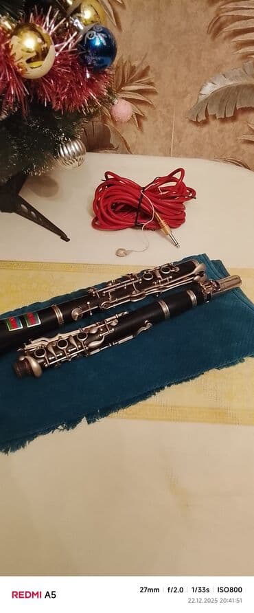 Гитары: Klarnet Ağac b Clemis mener 8metrlik Şunur kaspsullar üstündə — 2