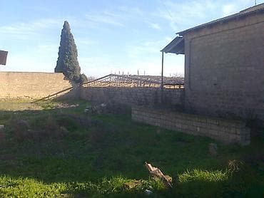 Torpaq: 3 sot, Mülkiyyətçi, Kupça (Çıxarış) — 3