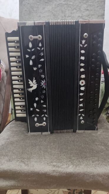 аккордеон уйронуу бишкек: Akustik Akkordeon — 1