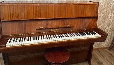 Pianolar: Piano, Petrof, Akustik — 2