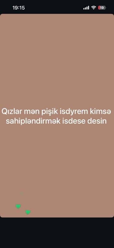 домик для кошек: Xidmət: Pişik sahibləndirmə üçün müraciət Təsvir: - Pişiyini — 1