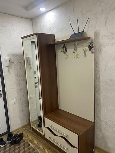 acar destdi: 1 qapı, Güzgülü, Qəhvəyi, Digər material, Açılan, Düz dolab — 3