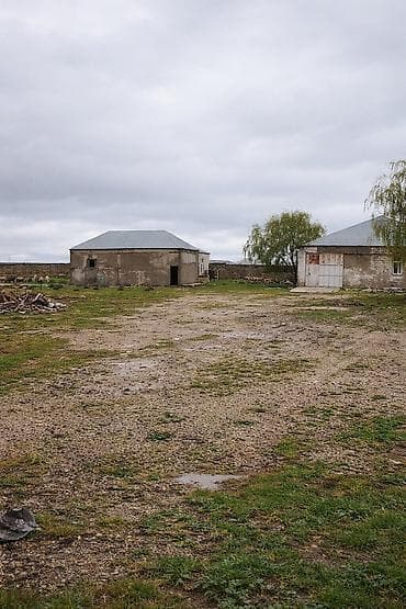 quba daşınmaz əmlak: SATILIR – ZİRƏ QƏSƏBƏSİNDƏ BÖYÜK TORPAQ SAHƏSİ! 📍 Ünvan: Zirə — 2