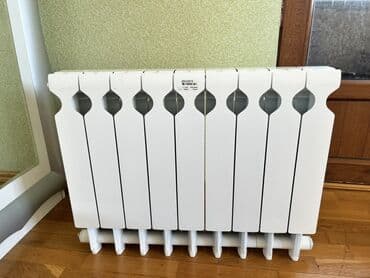 qaz 53 radyatoru: Radiator “Regina” model Yenidir heç istifadə olunmuyub. Real alıcıya — 3