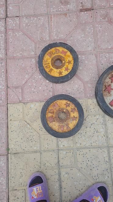 Kitablar və jurnallar: Ştanq diski, Çəki: 60 kq — 2