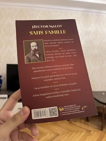 купить бу чемодан: ❤️ Hektor malo Ailesiz kitabı
Sans famille — 4