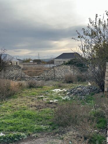 türkanda bağ evi satılır: 8 соток, Для сельского хозяйства, Собственник, Бялядия (муниципалитет) — 1
