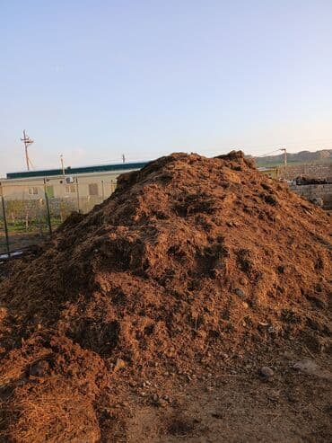 sultan darağı: Təbii üzvi gübrə – mal peyini - Açıq havada yığılıb, torpaqla — 1