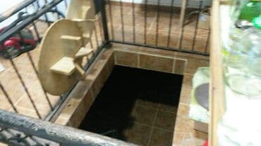 hovsan obyekt: Bakı, Novxanı, 480 kv. m, 7 otaqlı, Kanalizasiya, Kombi, Qaz — 11